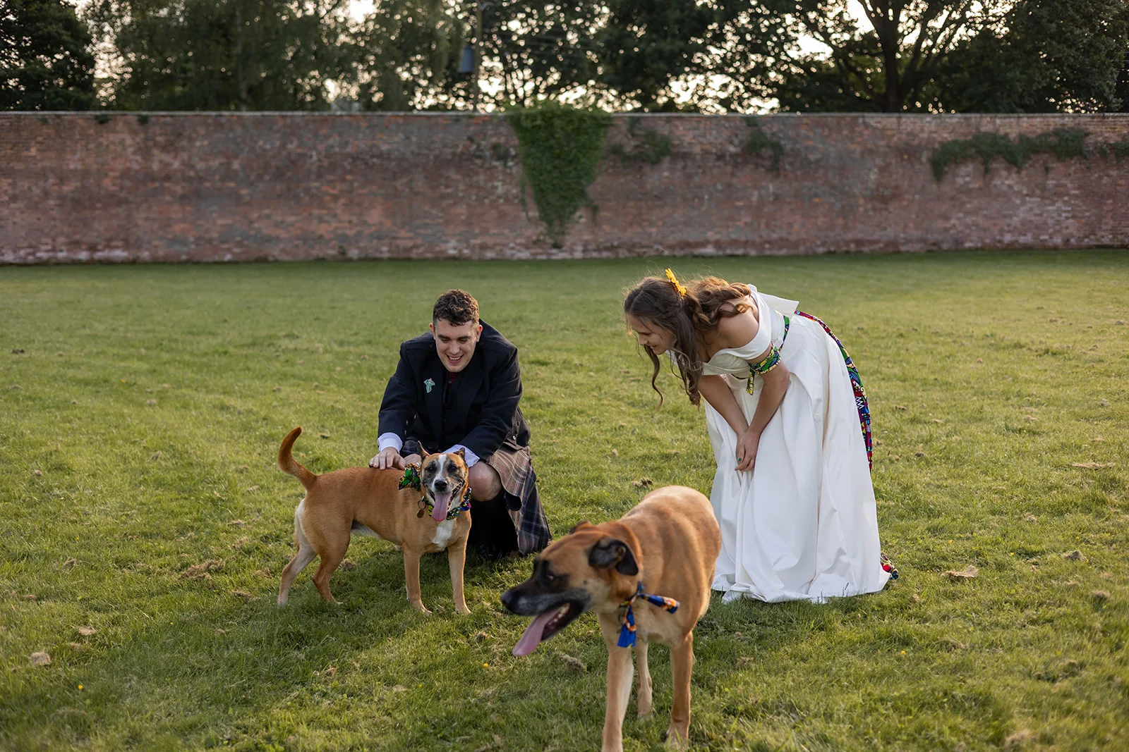 A couple on their wedding day playing with their dogs. They are laughing and look happy