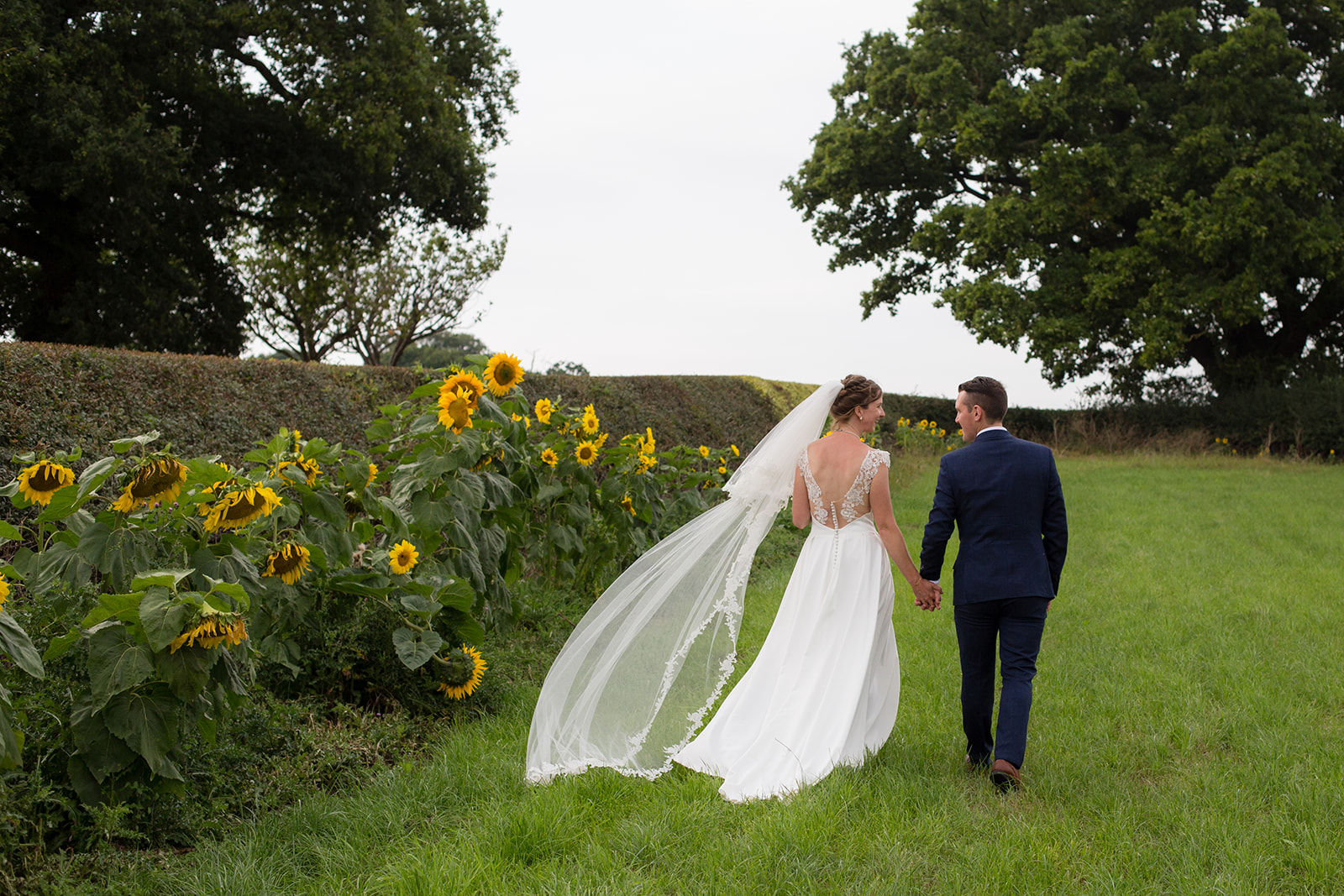 A couple walk away from the camera on their wedding day flanked by sunflowers